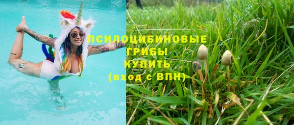 дмт Семёнов