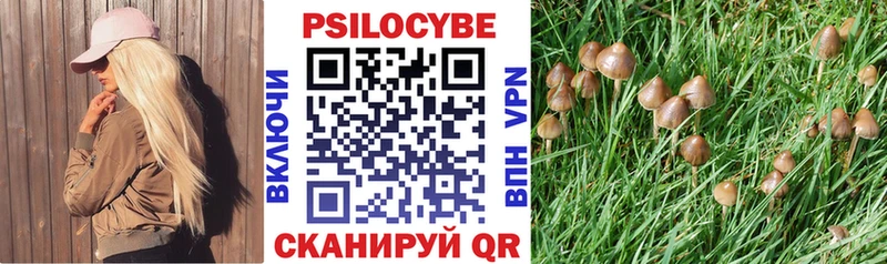 Купить закладки  Смоленск  Галлюциногенные грибы Psilocybe 