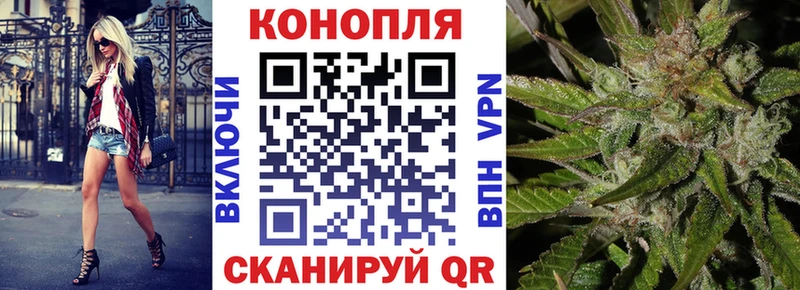 Купить где  Смоленск  Канабис ГИДРОПОН